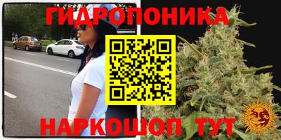 ГАЛЛЮЦИНОГЕННЫЕ ГРИБЫ Новодвинск