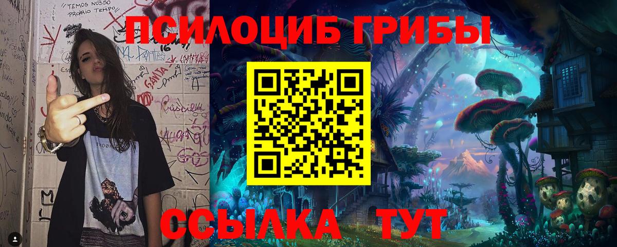Ульяновск  Псилоцибиновые грибы Psilocybe  Галлюциногенные грибы GOLDEN TEACHER  Вход с VPN 